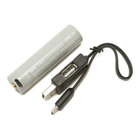 Milestone Smart Mobile Battery
